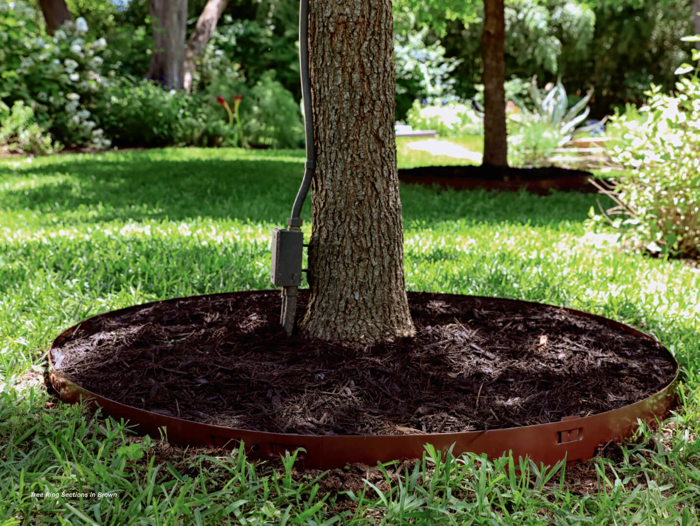 Steel Tree Rings Edgings