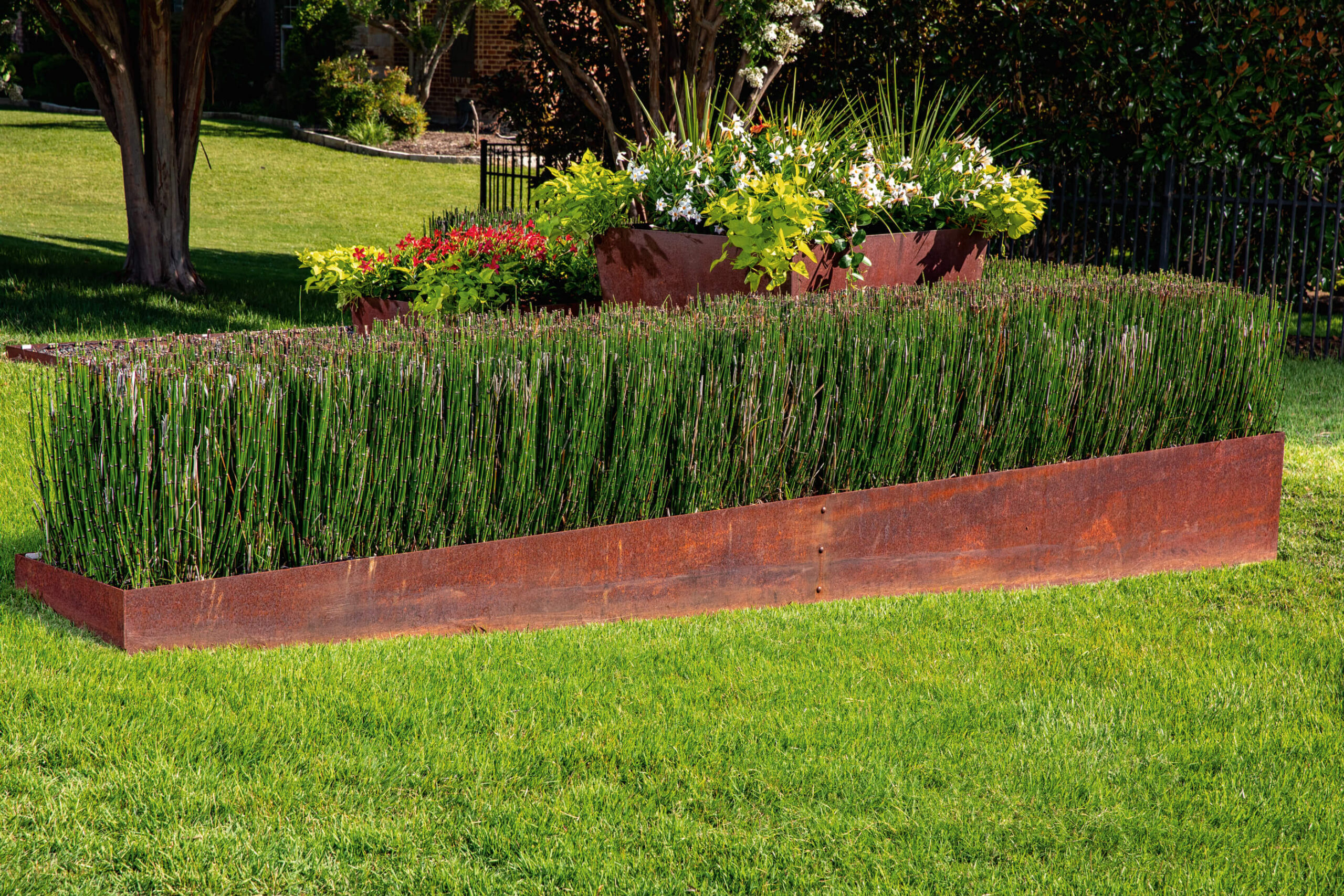 Custom Steel Edging between bamboo shoots and grass