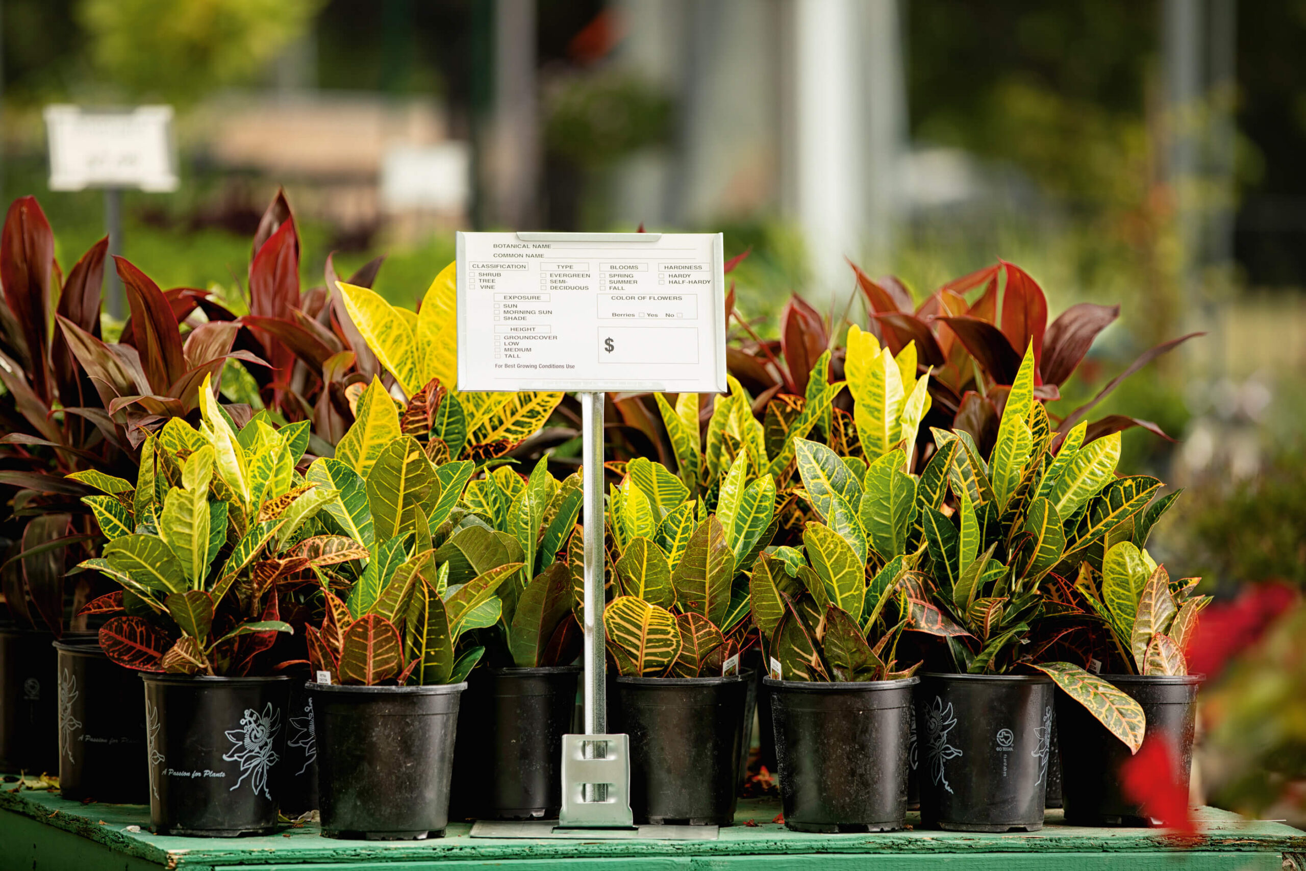 sign holder accessories: plant information card