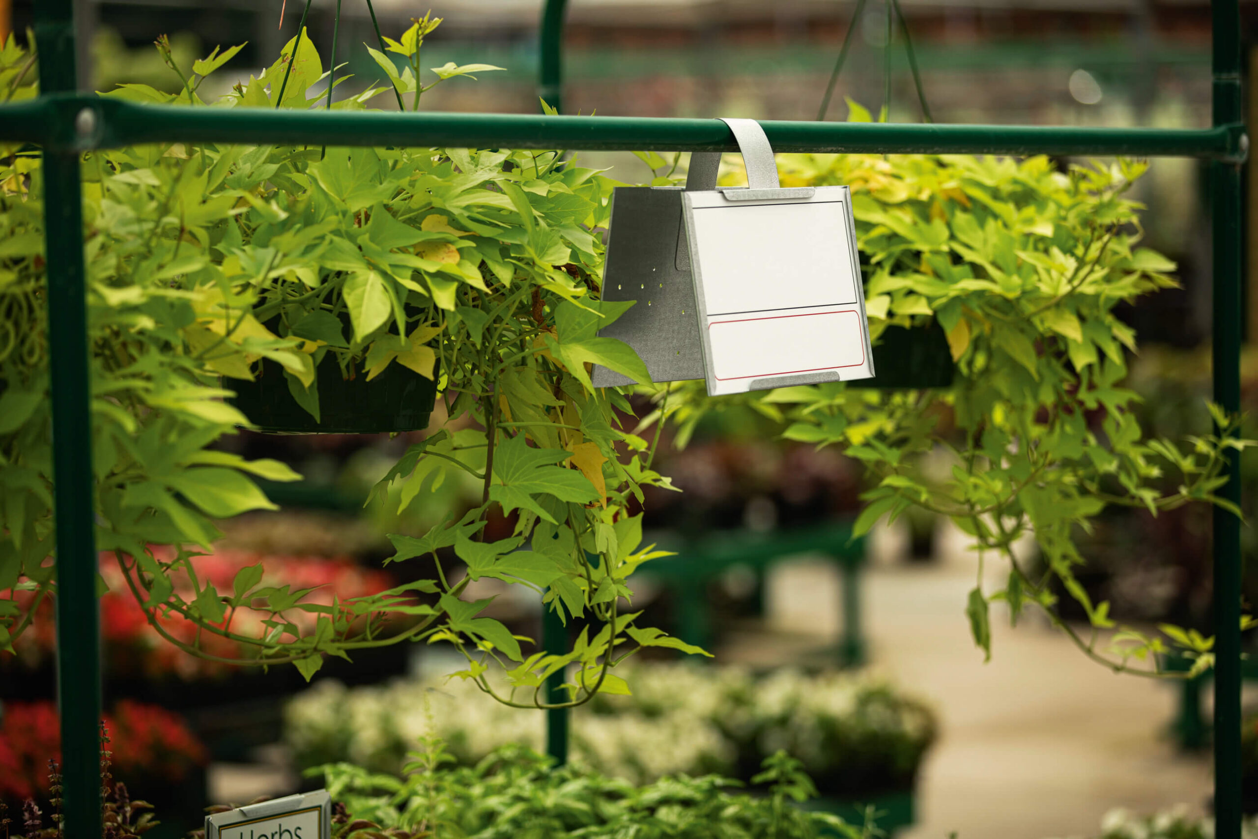 double-face hanging special-purpose sign holder