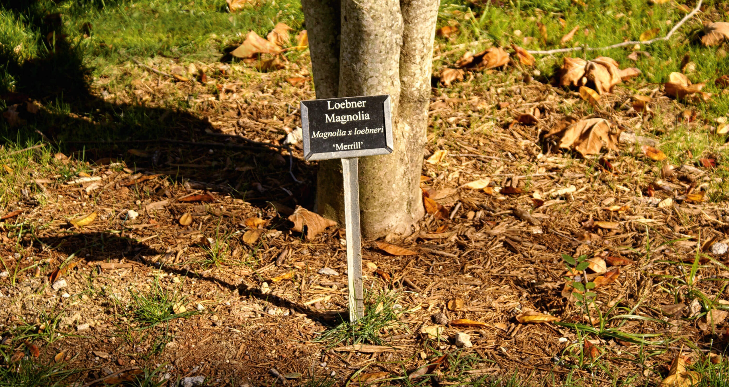 custom sign holder in front of tree